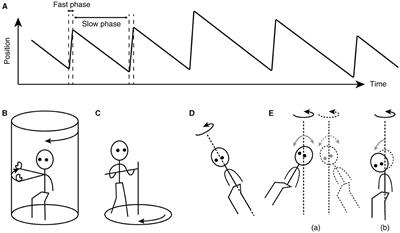 On labyrinthine function loss, motion sickness immunity, and velocity storage